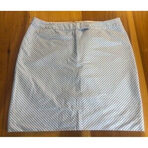 Brooks Brothers 346 Women’s Skirt Size 10 Blue/white Chevron A-line. Knee Length